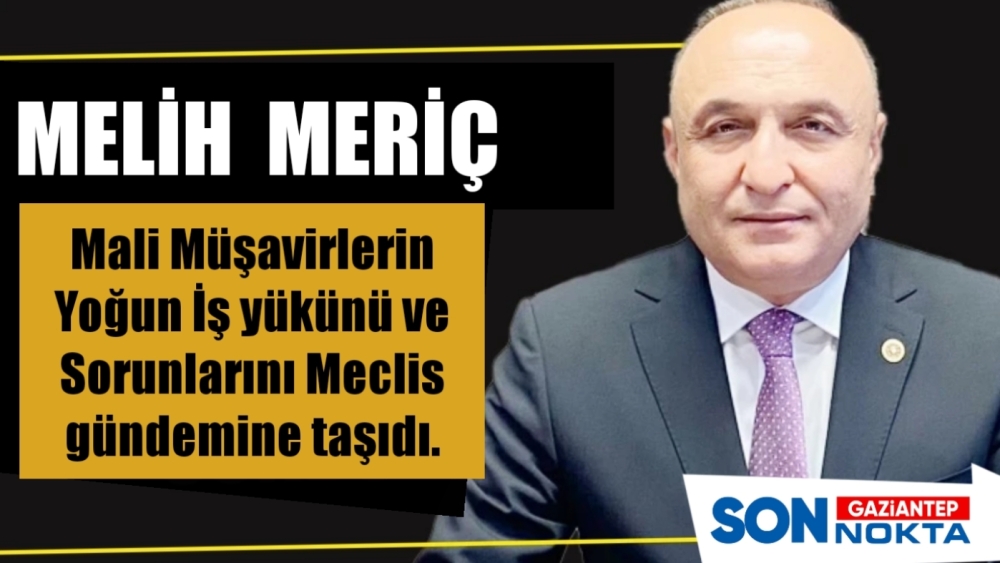 CHP'li Meriç, Mali Müşavirlerin Yoğun İş yükünü ve Sorunlarını Meclis gündemine taşıdı