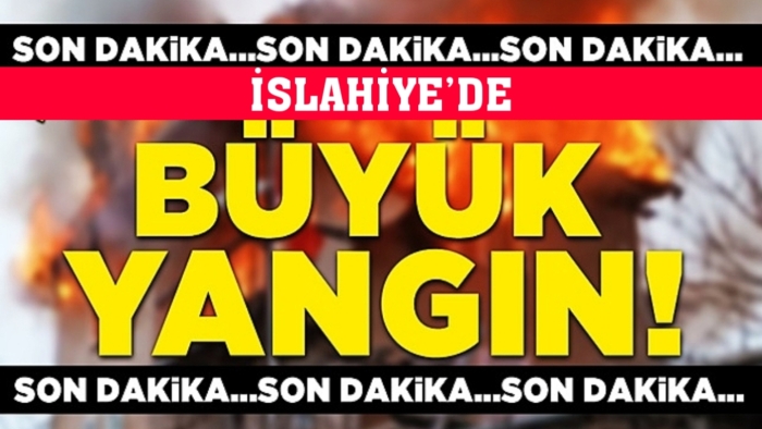 İslahiye'de büyük yangın!