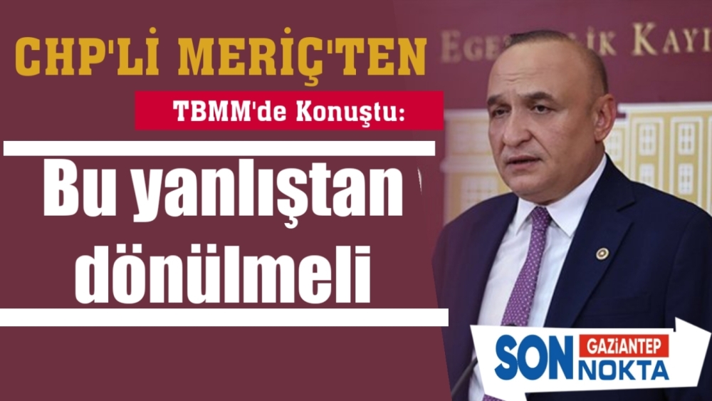 CHP'li Meriç TBMM'de konuştu: Bu yanlıştan dönülmeli