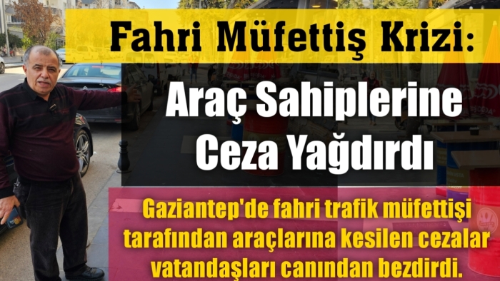 Fahri müfettiş krizi: Araç sahiplerine ceza yağdırdı