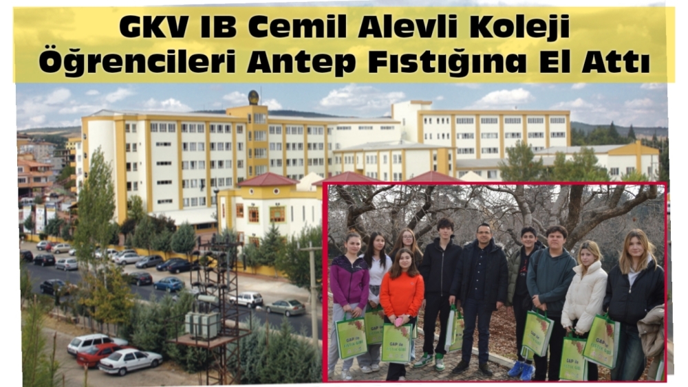 GKV IB Cemil Alevli Koleji Öğrencileri Antep Fıstığına El Attı