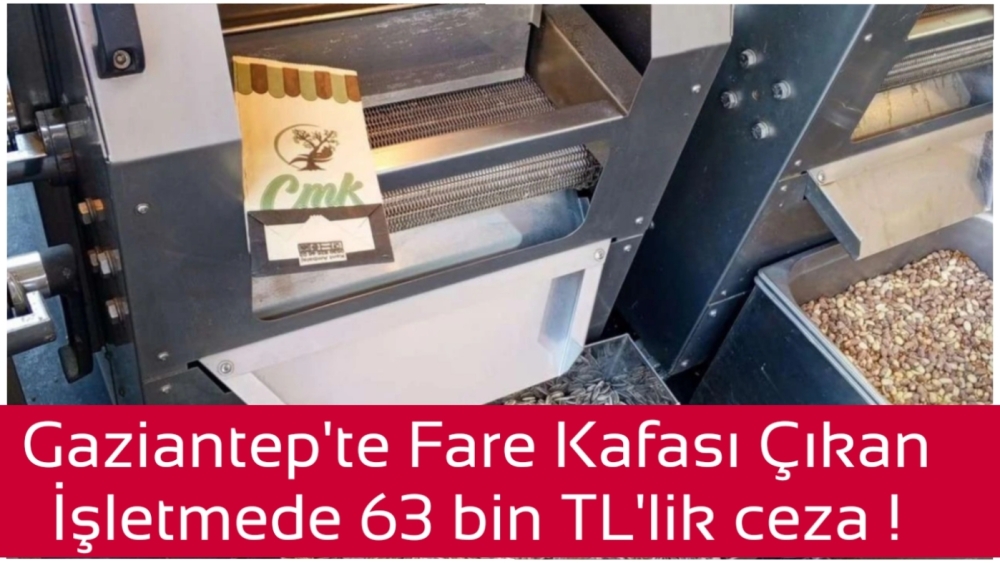 Gaziantep'te Fare Kafası Çıkan İşletmede 63 bin TL'lik ceza !