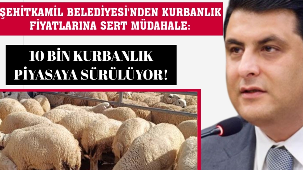 Şehitkamil Belediyesi 10 bin kurban satacak
