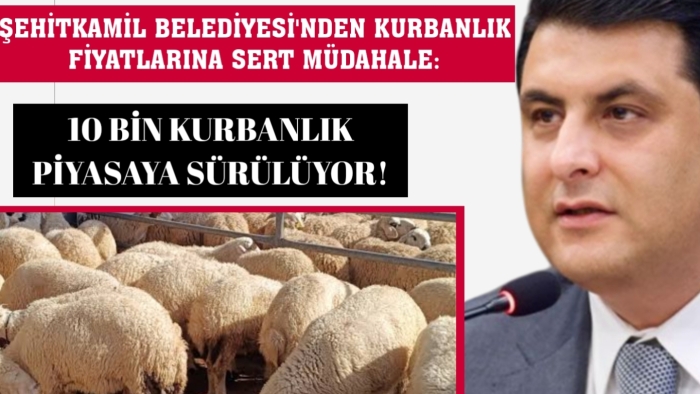 Şehitkamil Belediyesi 10 bin kurban satacak