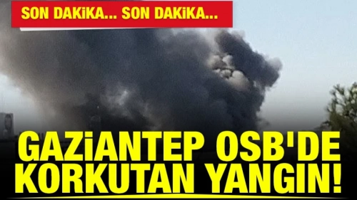 GAZİANTEP'TE TEKSMEN FABRİKASINDA BÜYÜK YANGIN!