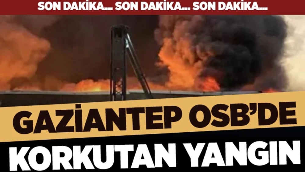 Gaziantep’te Bir Halı Fabrikasında Yangın Çıktı